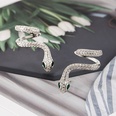 Fashion snake earrings female copper inlaid zircon earrings wholesalepicture13